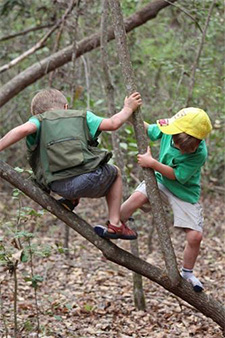 Why some Schools are Encouraging Dangerous Free Play at Recess