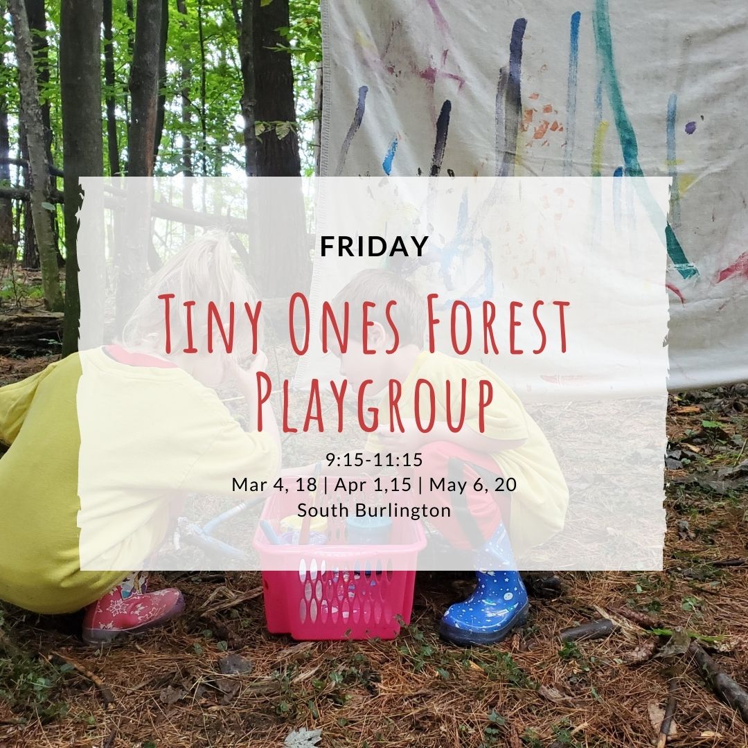 Friday Tiny Ones Forest Playgroup – (S.Burlington) TimberNook of Greater Burlington