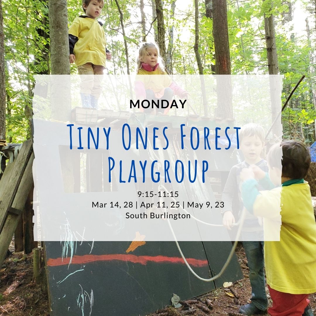 Monday Tiny Ones Forest Playgroup – (S.Burlington) TimberNook of Greater Burlington