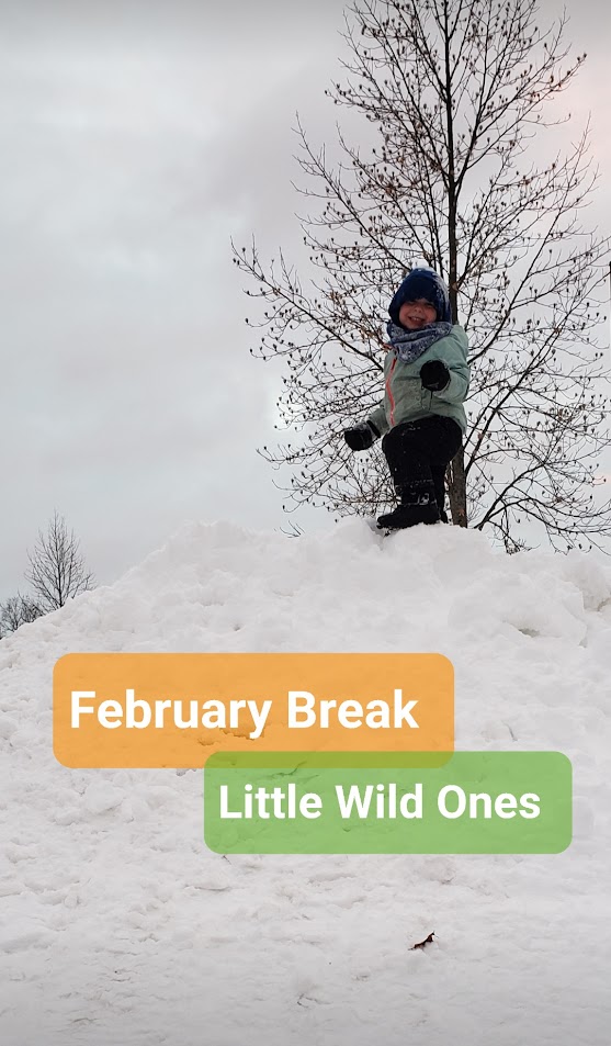 Protected: Little Wild Ones – TimberNook Middlesex County