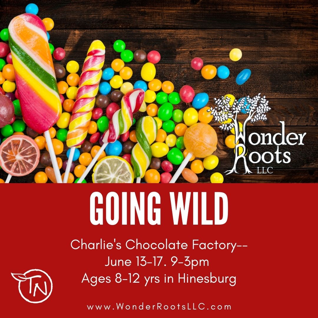 Going Wild- Charlie's Chocolate Factory - TimberNook of Greater Burlington