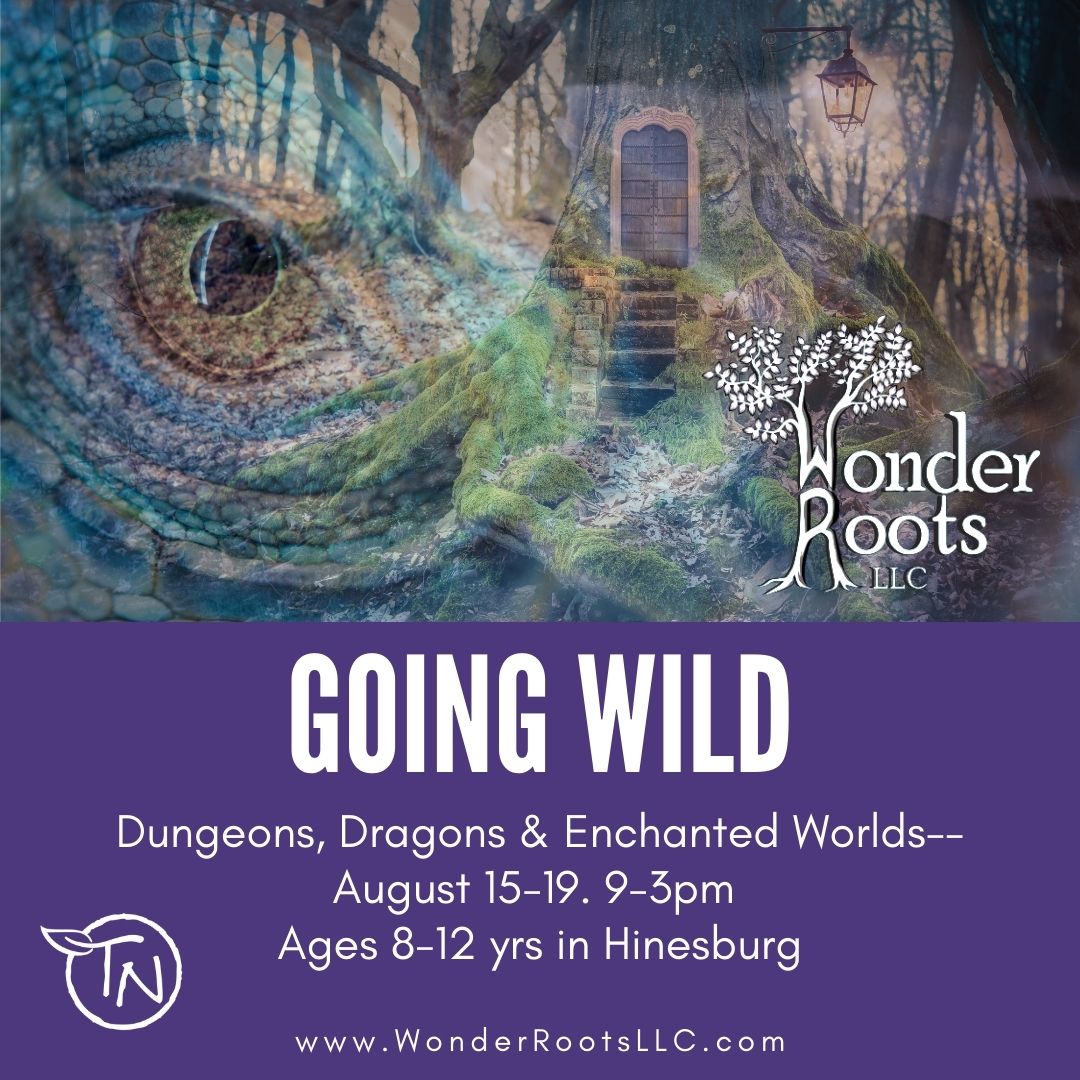 Going Wild – Dungeons, Dragons & Enchanted Lands- TimberNook of Greater Burlington