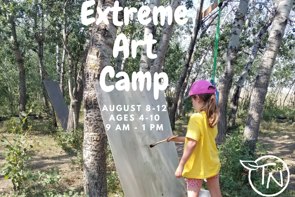 Extreme Art- Aug 8 to 12- TimberNook Saskatoon