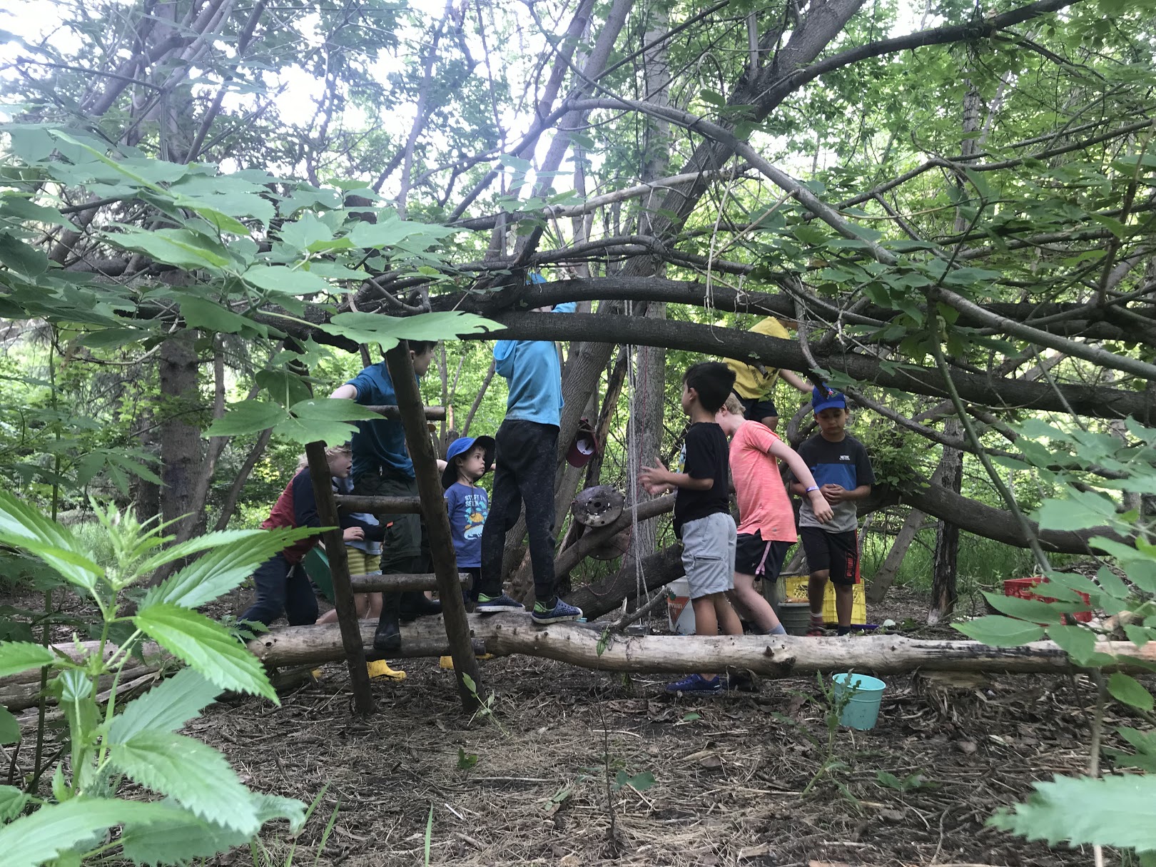 Protected: Woodland Tinkering (ages 7-12) – Summer Camp (July 18-22)- FULL
