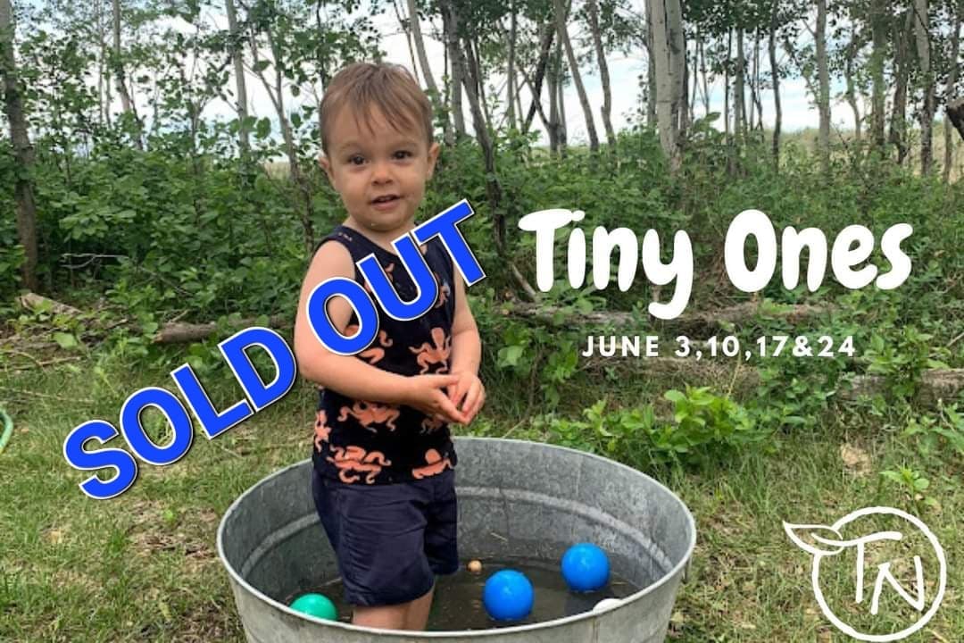 Tiny Ones - June Fridays AM- TimberNook Saskatoon