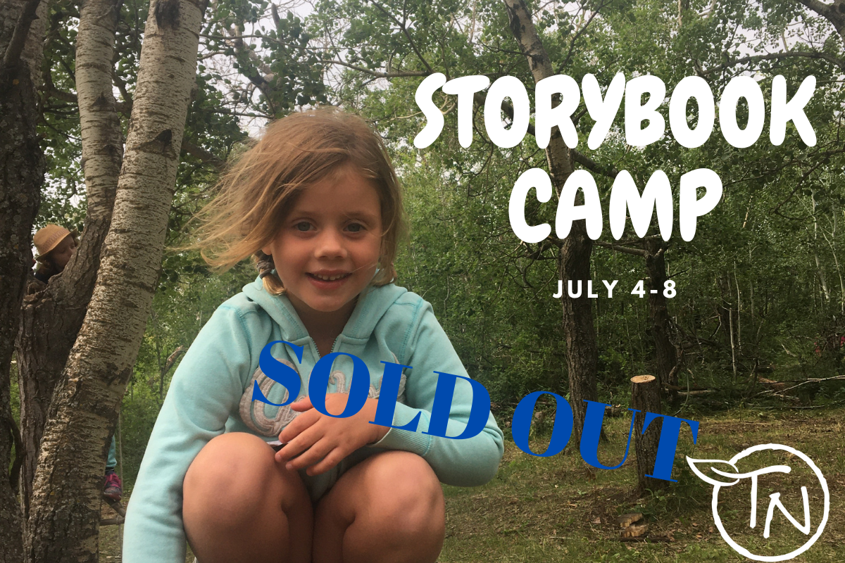 Storybook-July 4 to 8- TimberNook Saskatoon