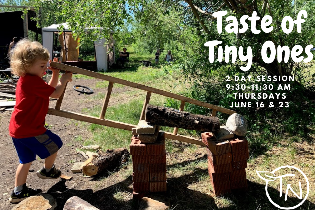 Taste of Tiny Ones - TimberNook Saskatoon