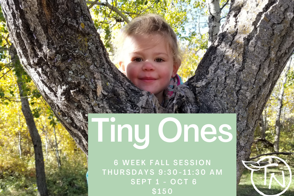 Fall 2022 Thurday AM- Tiny Ones - TimberNook Saskatoon