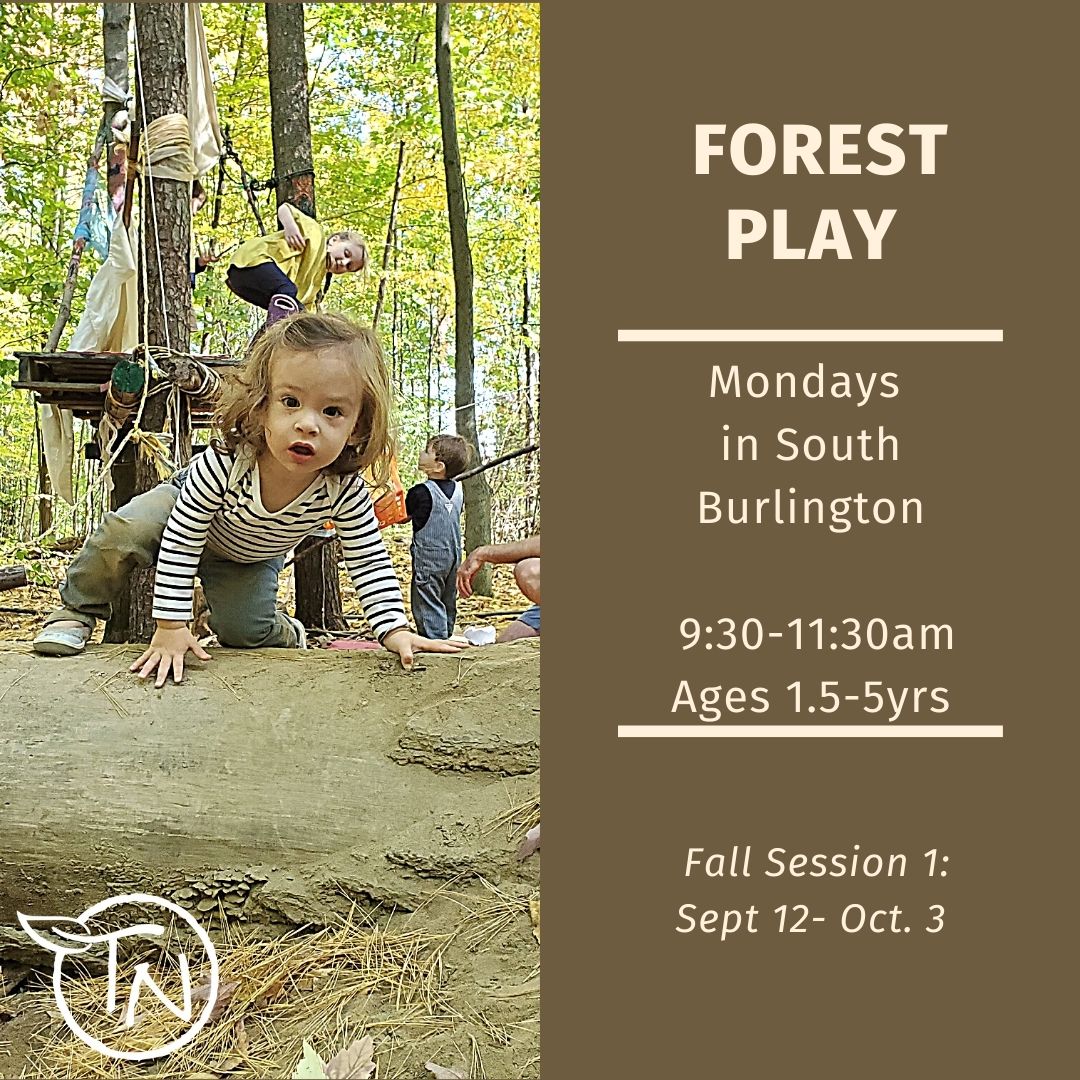 Fall Session 1- Tiny Ones Forest Play - Wonder Roots TimberNook of Greater Burlington